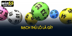 Bạch thủ lô là gì