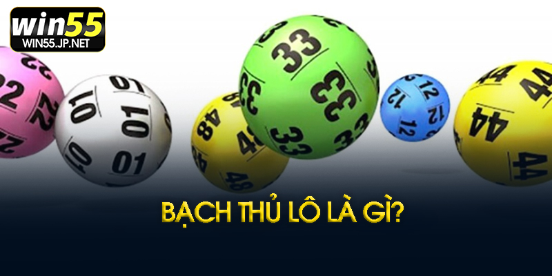 Bạch thủ lô là gì