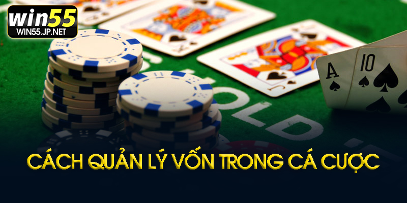 Quản lý vốn là gì