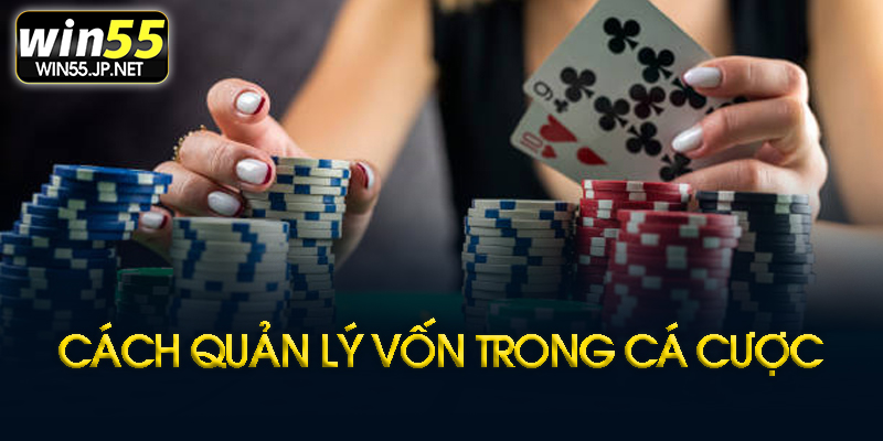 Công cụ hỗ trợ hiệu quả