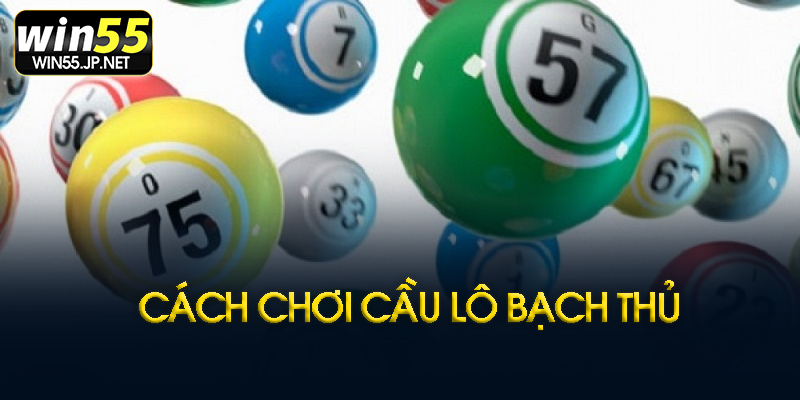 Cầu bạch thủ tại Win55