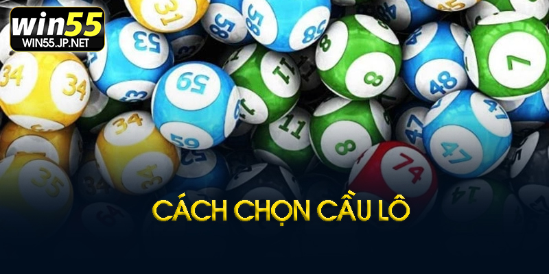 Phân loại cầu lô