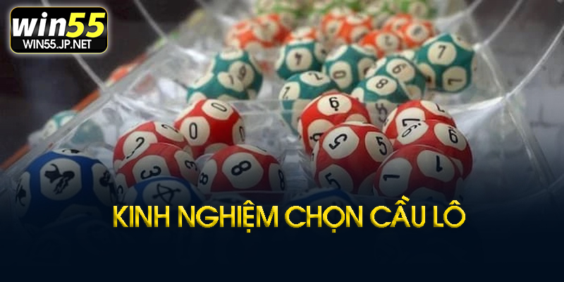Kinh nghiệm chọn cầu hiệu quả