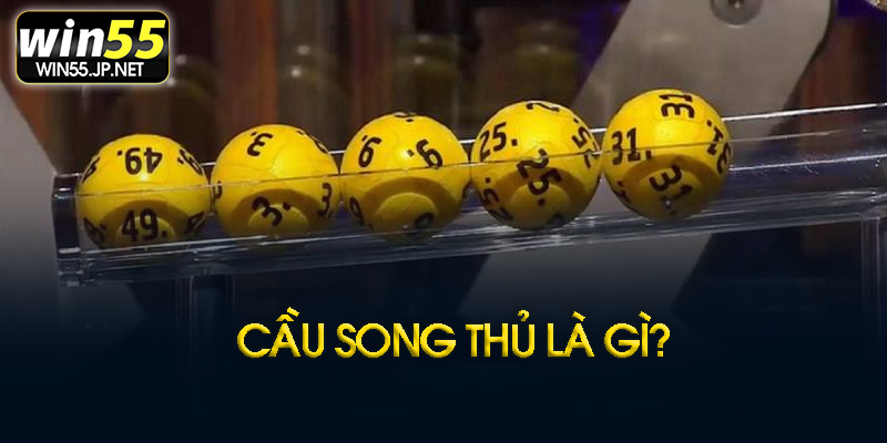 Cầu song thủ là gì