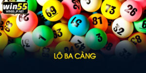 Lô ba càng là gì