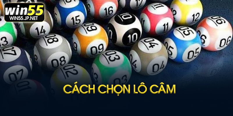 Chiến thuật chơi lô câm