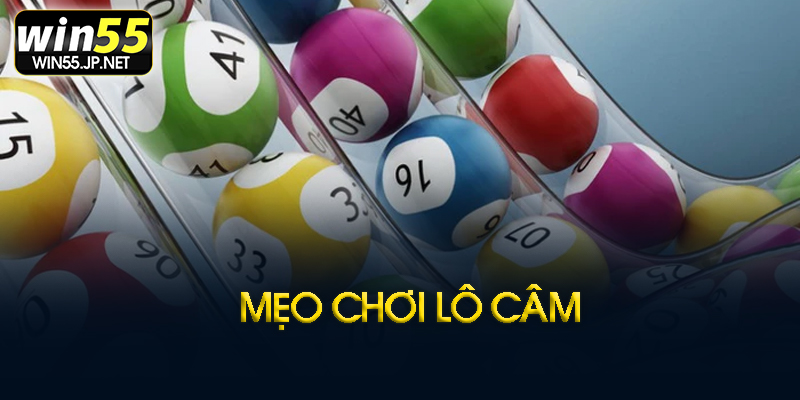 Kinh nghiệm bắt lô câm