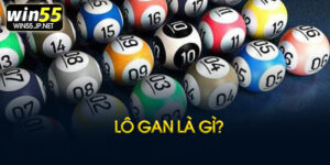 Lô gan là gì