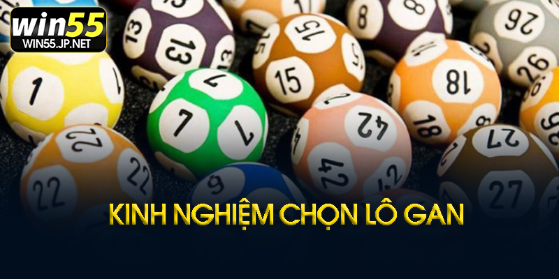 Kinh nghiệm bắt lô gan