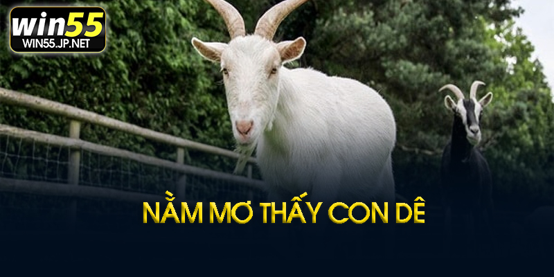 Nằm mơ thấy con dê