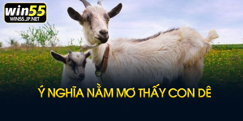 Win55 chia sẻ kinh nghiệm