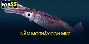 Nằm mơ thấy con mực