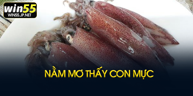 Giải mã theo màu sắc