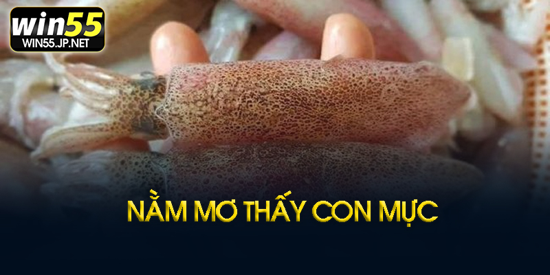 Nằm mơ thấy mực theo dân gian