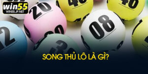 Song thủ lô là gì